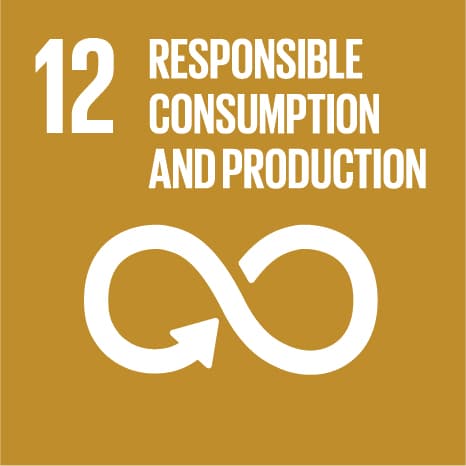 SDG 12 — Responsible Consumption and Production